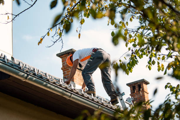 Best Roof Leak Repair  in Fairlawn, VA